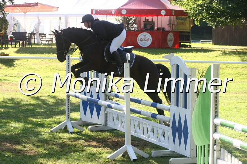 308M1144_Springpferde A.JPG